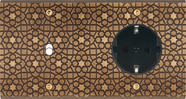 Façade fascination laiton atlas double horizontale 1 basculeur 1 prise schuko à vis - Modelec - 261433-K