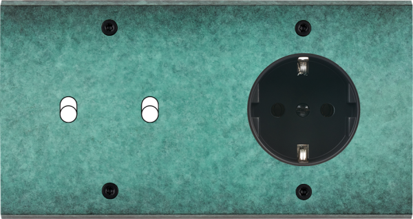 Façade fascination laiton jade double horizontale 2 basculeurs 1 prise schuko à vis