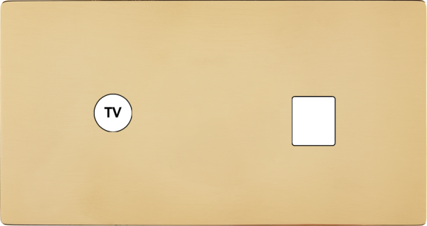 Façade "m" laiton miroir double horizontale 1 prise tv 1 media sans vis