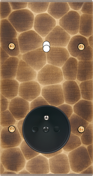 Façade fascination laiton onde double verticale 1 basculeur prise de courant 2p+t à vis - Modelec - 281432