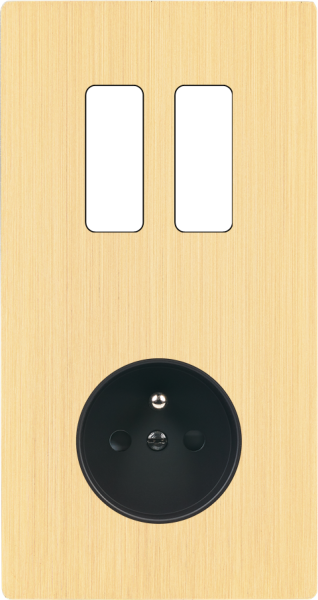 Façade "m" laiton brossé double verticale 2 boutons  sans vis - Modelec - 282512M