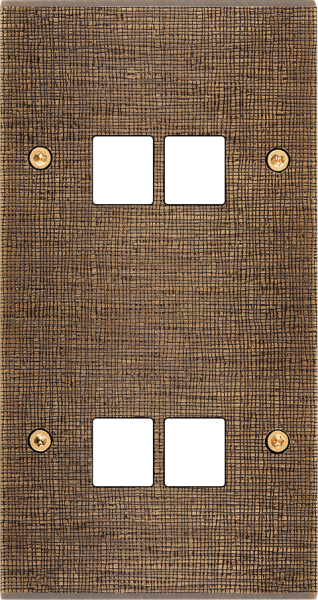 Façade fascination laiton coslan double verticale 2 média 2 média à vis - Modelec - 288430