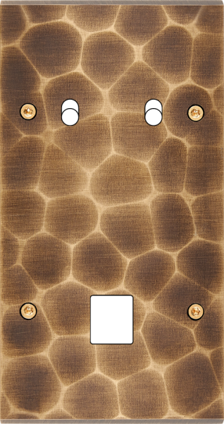 Façade fascination laiton onde double verticale 2 basculeurs 1 média à vis - Modelec - 292432