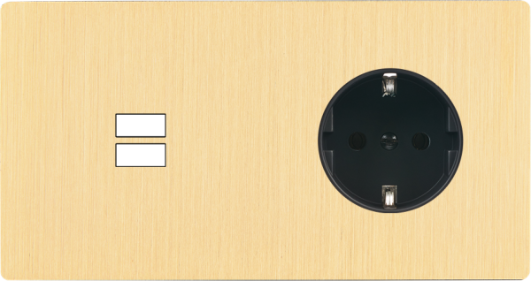 Façade "m" laiton brossé double horizontale 1 chargeur usb p sans vis