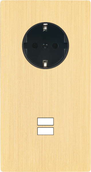 Façade "m" laiton brossé double verticale 1 prise schuko 1 chargeur usb sans vis