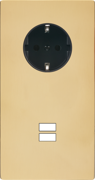Façade "m" laiton verni double verticale 1 prise schuko 1 chargeur usb sans vis