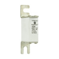 Fuse 100a 690v 000tn/80 ar uc 