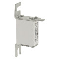 Fuse 100a 690v 000tn/80 ar 