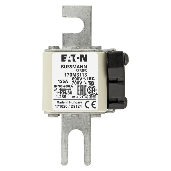 Fuse 125a 690v 1*kn/80 ar uc 