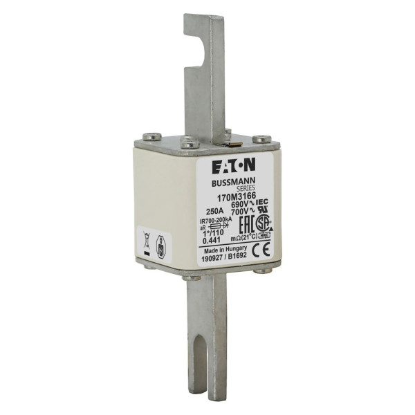 Fuse 250a 690v 1*/110 ar uc 