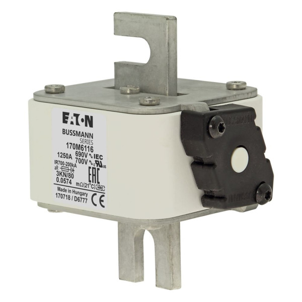 Fuse 1250a 690v 3kn/80 ar uc 