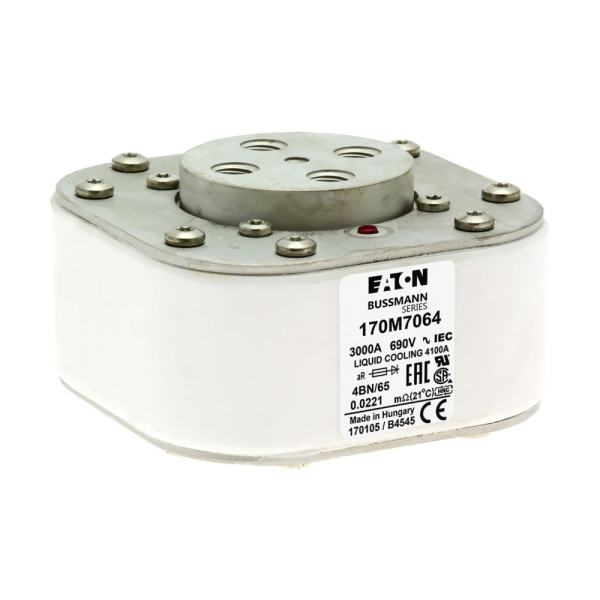 Fuse 3000a 690v 4bn/65 ar 