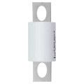 Buss high speed fuse 