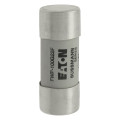 Fuse 100a 690vac gr 22x58 