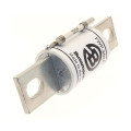 60amp 700v ac semi-conductor fuse 