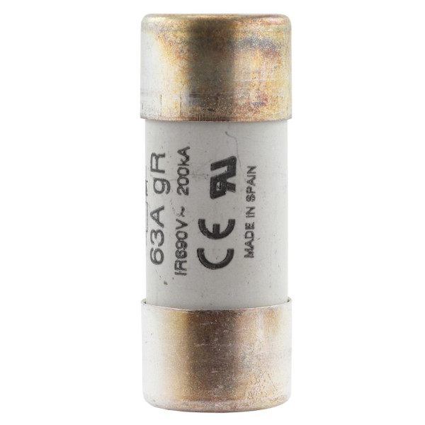 Fuse 63a 690vac gr 22x58 with ind 