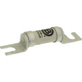 100a 690v type t fuse  - Eaton - 100AFE