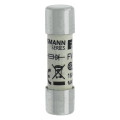 16amp 600v ac ferrule 10 x 38mm 
