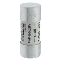 100amp 700v ac 22 x 58mm ferrule 