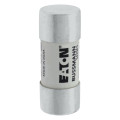 100amp 700v ac 22 x 58mm ferrule 
