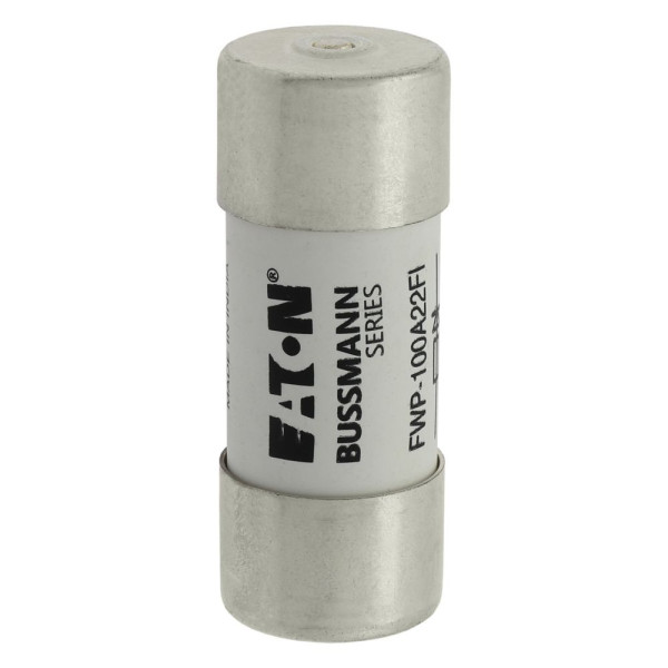 100a 600v 22x58 indicated 22 x 58mm 