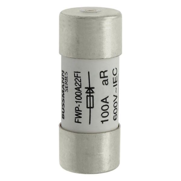 100a 600v 22x58 indicated 22 x 58mm 