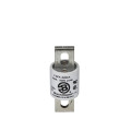 Buss high speed fuse  - Eaton - FWX-600A