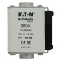 Fuse 250a 1000v dc size 2 flush end 
