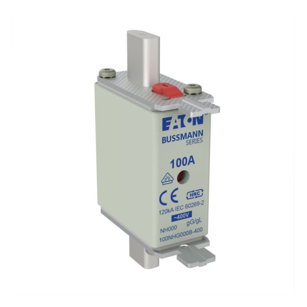 Nh fuse 100a 400v gg/gl size 000 