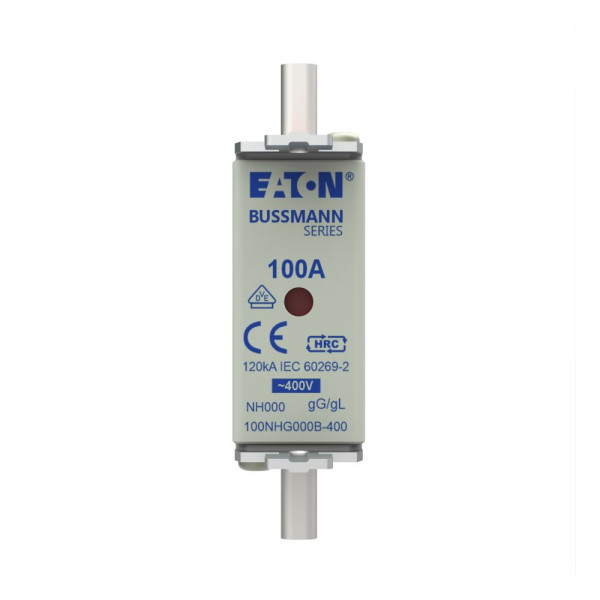 Nh fuse 100a 400v gg/gl size 000 