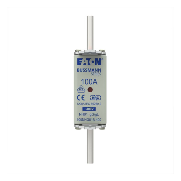 Nh fuse 100a 400v gg/gl size 01 