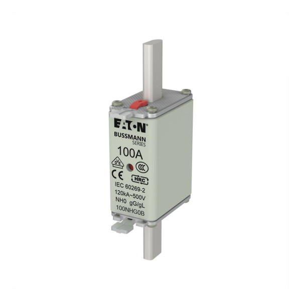 Nh fuse 100a 500v gg/gl size 0 