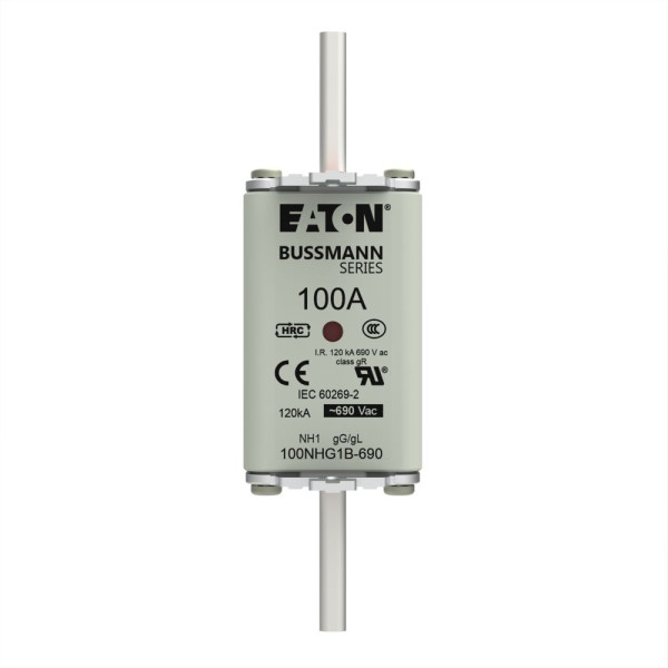 Nh fuse 100amp 690v gg size 1 
