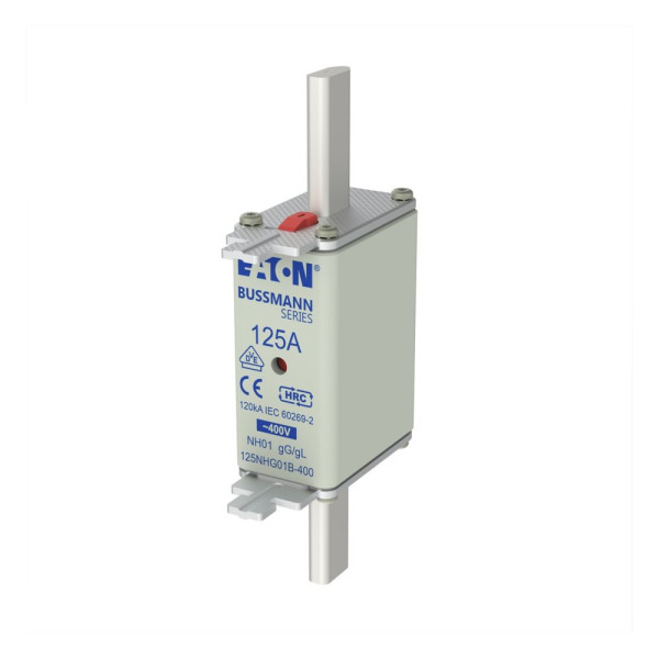 Nh fuse 125a 400v gg/gl size 01 