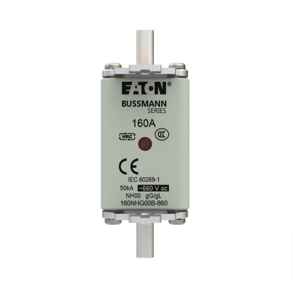 Nh fuse 160a 660v gl/gg size 00 dual in 