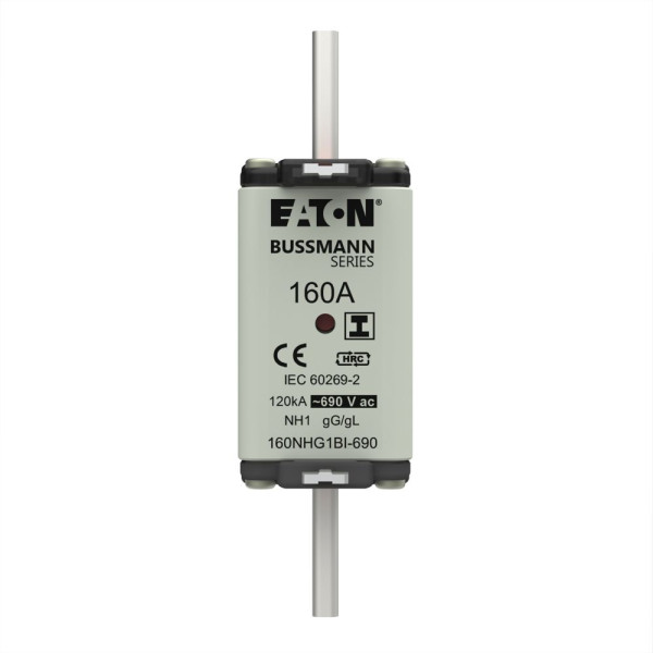 Nh fuse 160amp 690v ac gg 1 dual ind 