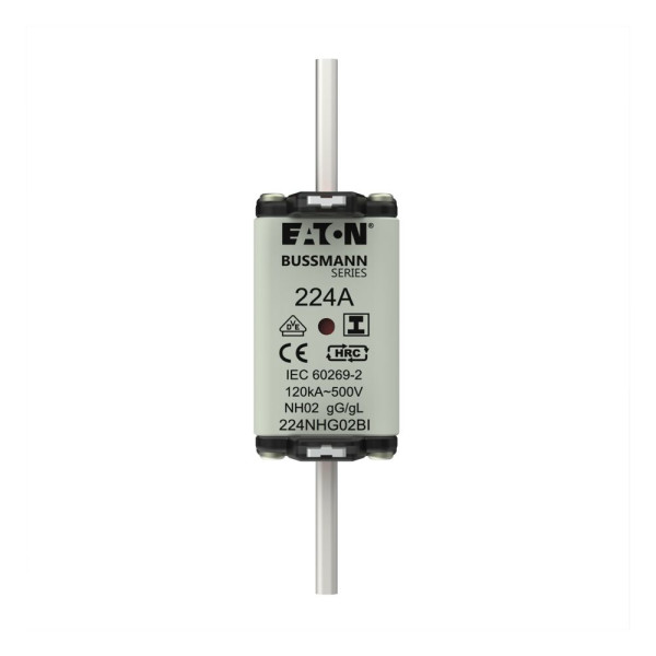 Nh fuse 224a 500v gl/gg size 02 
