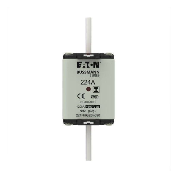 Nh fuse 224amp 690v ac gg 2 dual ind 