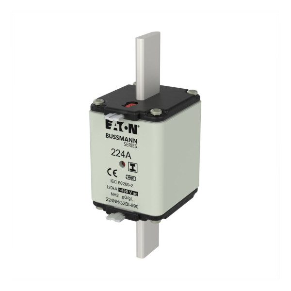 Nh fuse 224amp 690v ac gg 2 dual ind 