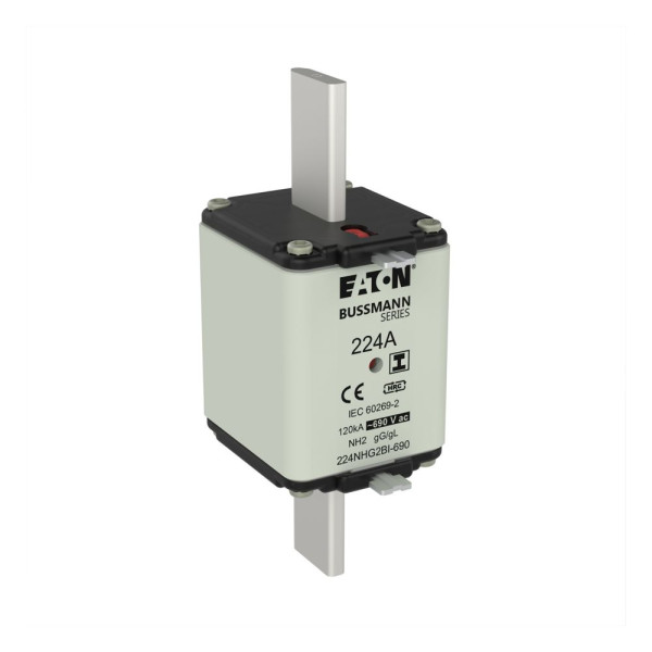 Nh fuse 224amp 690v ac gg 2 dual ind 