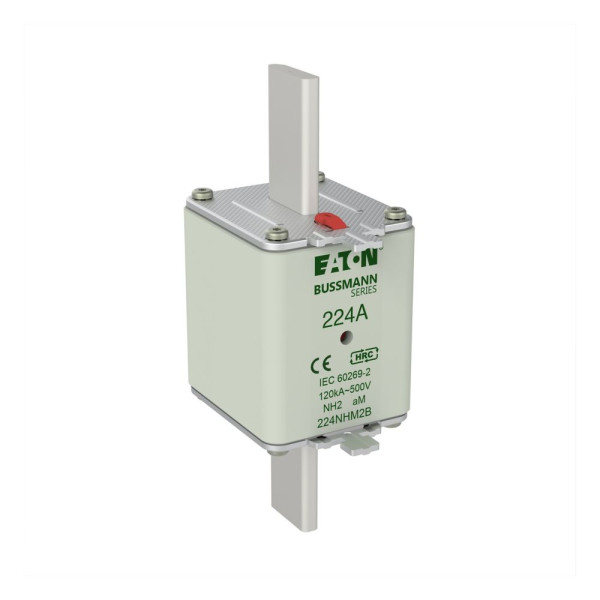 Nh fuse 224amp 500v am size 2 dual ind 
