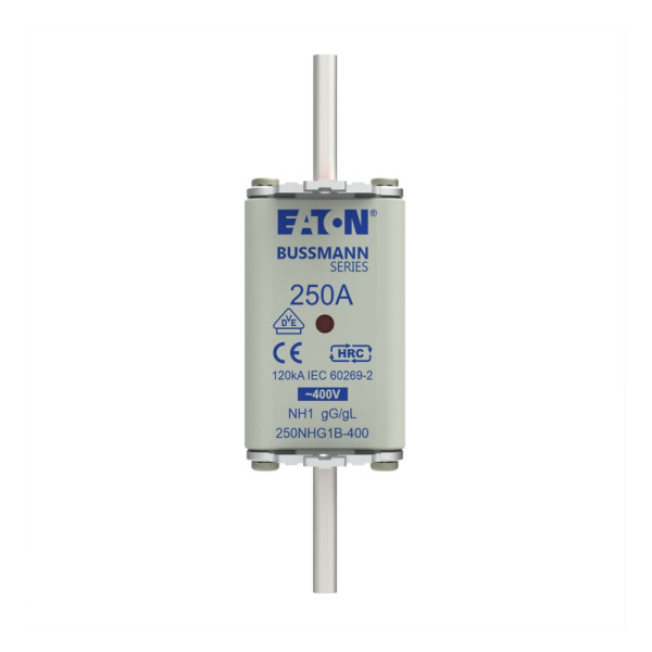 Nh fuse 250a 400v gg/gl size 1 