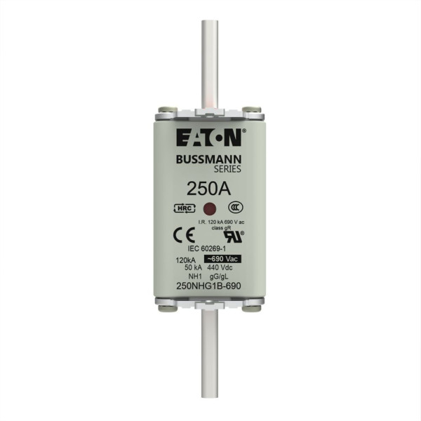 Nh fuse 250a 690v gg size 1  - Eaton - 250NHG1B-690