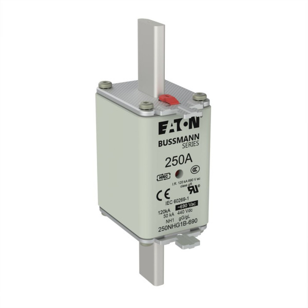 Nh fuse 250a 690v gg size 1  - Eaton - 250NHG1B-690