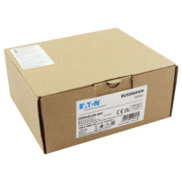Nh fuse 250a 690v gg size 2 