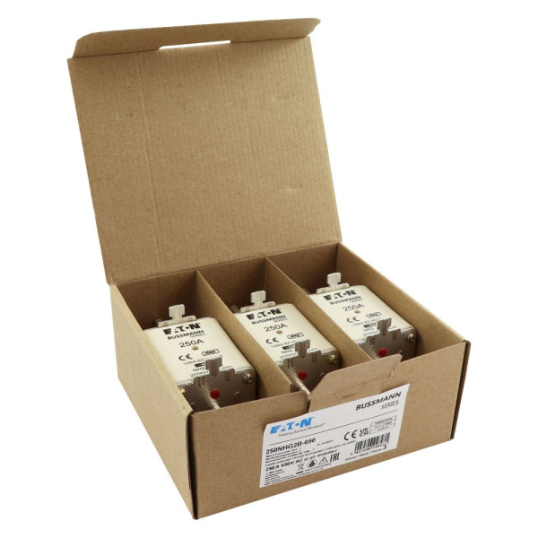 Nh fuse 250a 690v gg size 2 