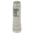 Fuse-d1 25a t gl/gg 500vac e16 