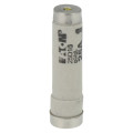 Fuse-d1 25a t gl/gg 500vac e16 