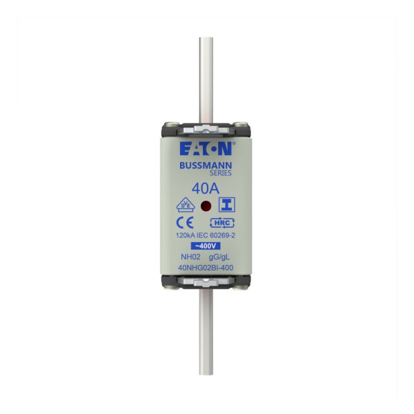 Nh fuse 40a 400v gg/gl size 02 
