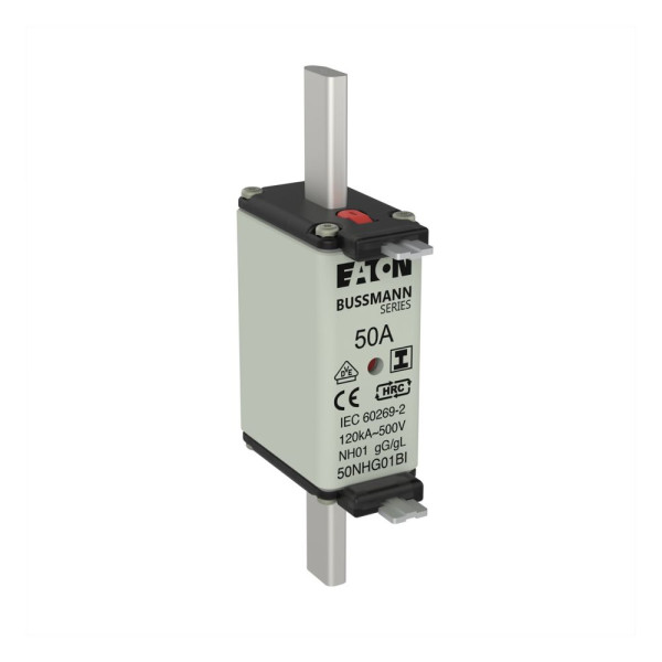 Nh fuse 50a 500v gl/gg size 01 